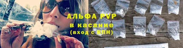 ешки Касимов