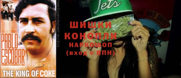 сатива Киренск