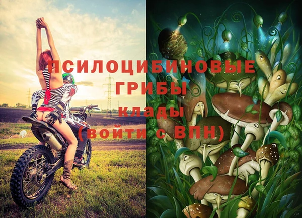 сатива Киренск