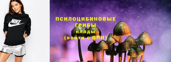сатива Киренск